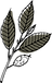 Logo van Praktijk Branches
